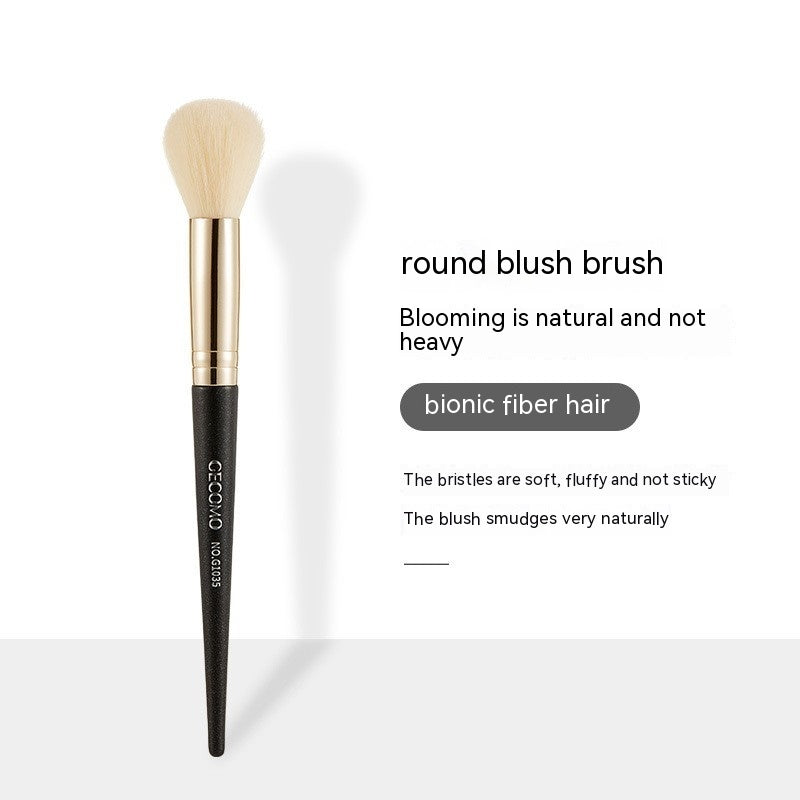 Makeup Brush Single Package Beginner